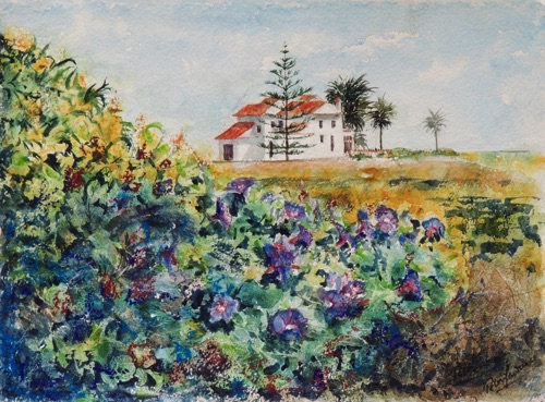 Morning Glory near Nerja